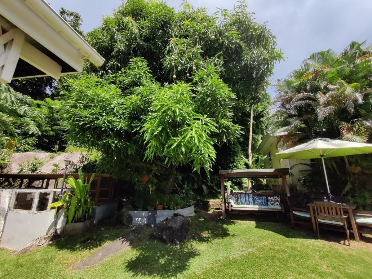 Apartmán The Reef Palm Anse aux Pins Exteriér fotografie