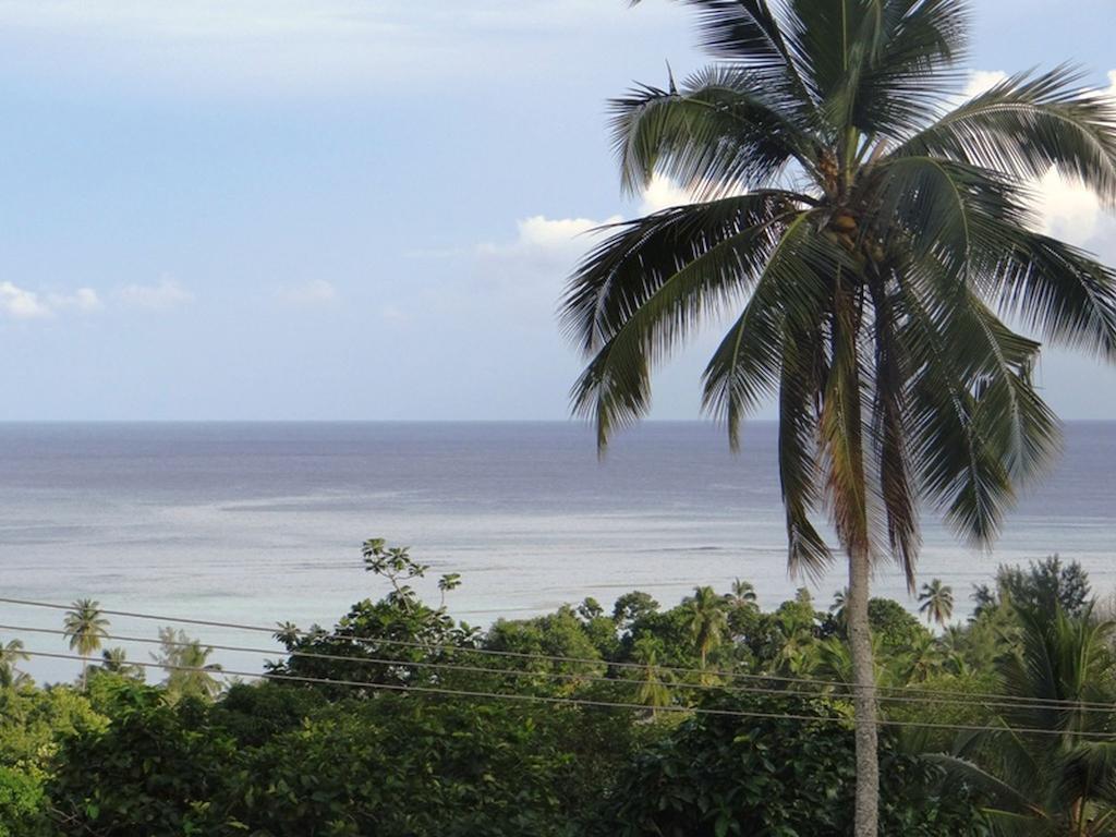 Apartmán The Reef Palm Anse aux Pins Exteriér fotografie