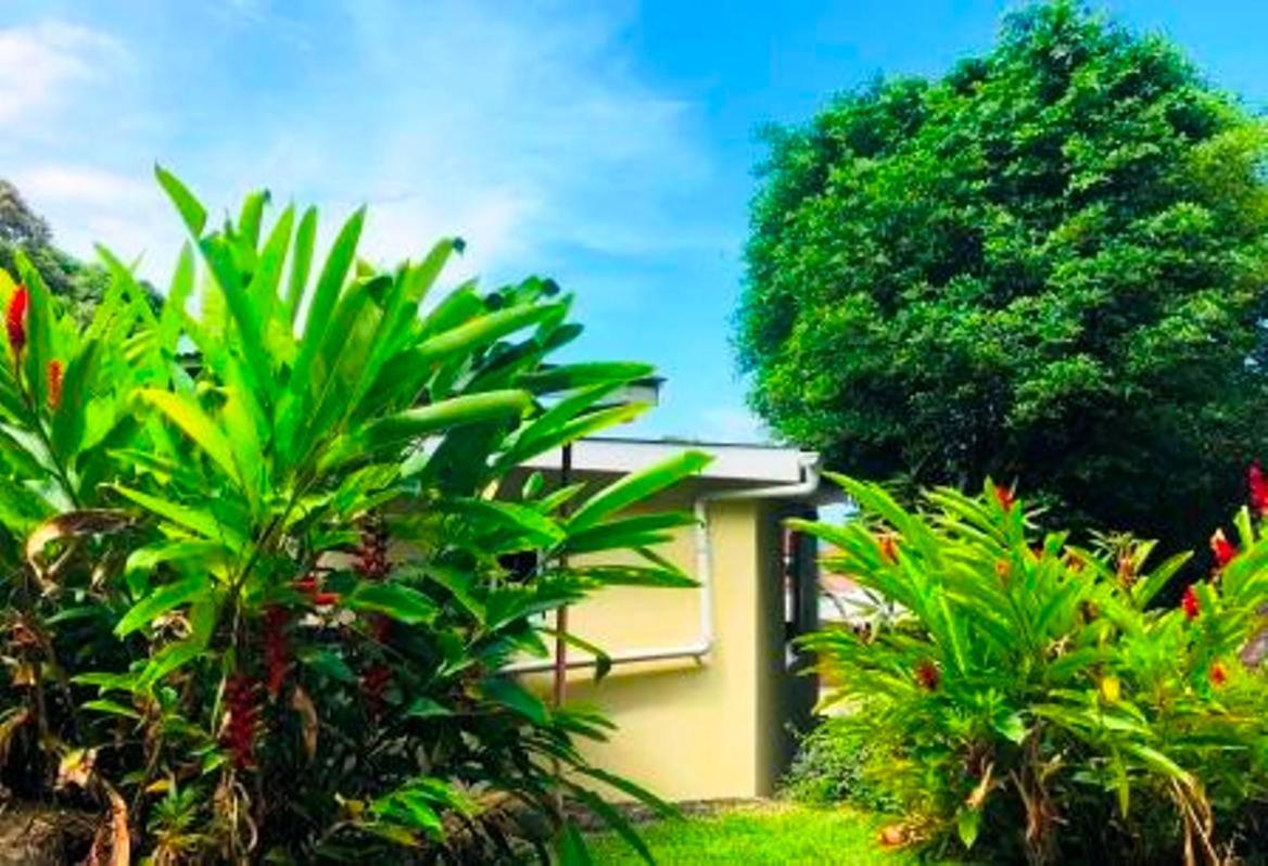 Apartmán The Reef Palm Anse aux Pins Exteriér fotografie