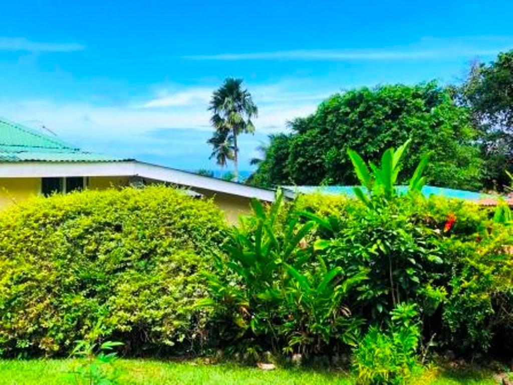 Apartmán The Reef Palm Anse aux Pins Exteriér fotografie