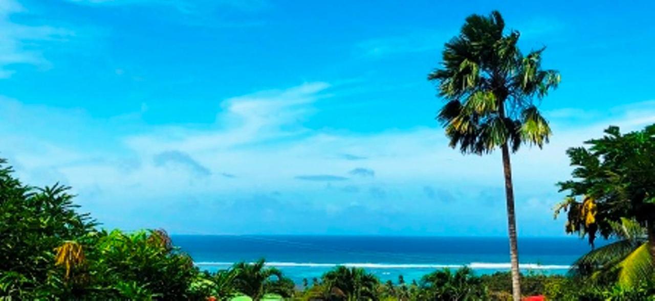 Apartmán The Reef Palm Anse aux Pins Exteriér fotografie